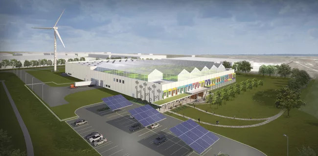 A Green Factory to Crop Up in Chicago