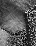 <em>'Kolumba 01'</em> (Architecture by Peter Zumthor)<br />2007 <br />Digital b/w silver gelatin print <br />47.2 x 60.2 inches