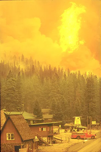 As a result of research conducted after the 1988 Yellowstone Fires, a new plan outlined strict guidelines for managing natural fires and allocated greater funding for fire management.