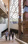 Stairs going down from entry level to lobby of museum.