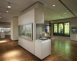 First Look: Chrysler Museum of Art Renovation and Expansion