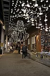 OLED company Blackbody showcased the technology in a stunning light installation at WantedDesign.