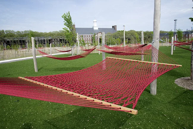 Hammock grove
