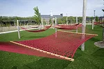 Hammock grove