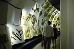 <strong>Venice Pavilion<br /><em>Sonnets in Babylon</em><br />Designer: Daniel Libeskind</strong><br /><br />Daniel Libeskind showed a series of new drawings on a curve of cascading backlit panelsR