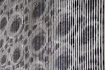 The building is clad with pre-cast concrete panels etched with abstracted images of roses, a famous symbol of Sugar Hill. <br /><div id='_mcePaste'>﻿﻿