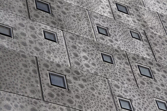 The building is clad with pre-cast concrete panels etched with abstracted images of roses, a famous symbol of Sugar Hill. <br /><div id='_mcePaste'>﻿﻿