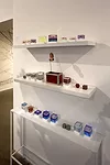 Bijan Fahimian's <em>Encapsulated Miniatures</em>