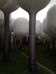 <p><em>Shinseon Play</em>, Young Architects Program<br /> Moon Ji Bang<br /> Seoul</p><div id='_mcePaste'>﻿﻿