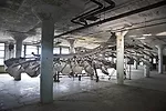 In the dank lower level of the New Industries Building, the bird of freedom is not merely tethered like a kite, but virtually leaden. Here, <em>Refraction</em> presents an abstract bird wing, weighing