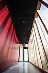 The window mullions are made of an engineered wood product called laminated veneer lumber.