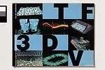 Asymptote Architecture's MarkeTrac web environment for the New York Stock Exchange, 1997–1999, 2001.<br /><div id='_mcePaste'>﻿﻿