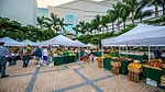 An ArtPlace America grantee, the Adrienne Arsht Center for the  Performing Arts of Miami-Dade County created an Office of Neighborhood  Development and the Town Square Neighborhood Development Corpora