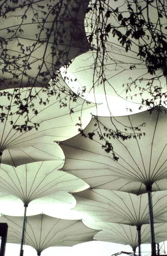 <p>Umbrellas for Pink Floyd’s 1977 concert tour of the United States</p><div id='_mcePaste'>