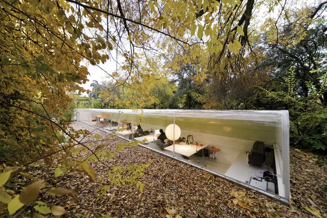 Office in the Woods, 2009