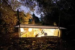 Office in the Woods, 2009