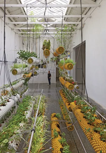 Amidst the Air: Installation at 13th Venice Biennale, Italy, 2012