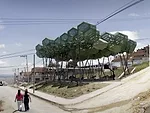 <p>Giancarlo Mazzanti</p><p>Forest of Hope</p>