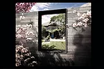 The new structure's stone walls will frame views of the original building and its signature blue door.<div id='_mcePaste'>﻿﻿