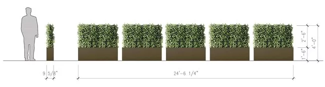 The Four Seasons