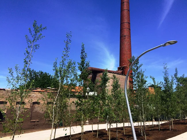 The park stretches 2.7 miles through Chicago’s Bucktown, Wicker Park, Logan Square, and Humboldt Park neighborhoods 606 on a one-story concrete embankment.