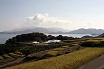Teshima Art Museum