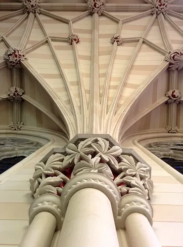 Looking Up