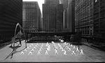 Artist Bryony Roberts will enlist a drill team to perform at Mies van der Rohe’s Federal Center.