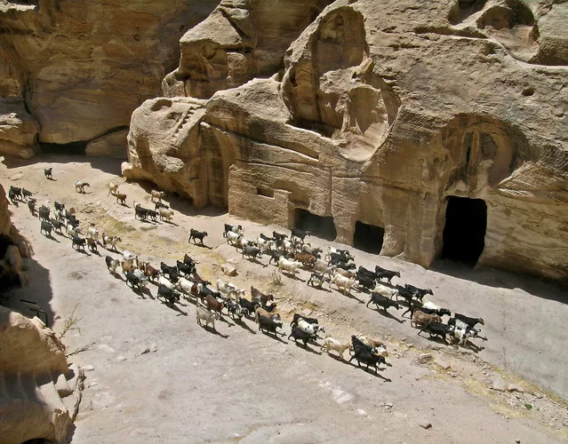 The ancient city of Petra in Jordan.