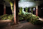 The Lowline Lab is the testing ground for the technology that will turn an abandoned trolley terminal into a lush underground garden.
