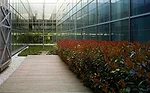 An urban revitalization effort that restored public spaces and landmark buildings.