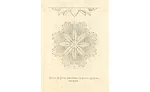 Original drawings for Hearst Castle by architect Julia Morgan.