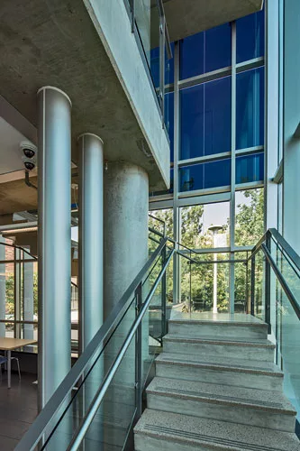Exterior and interior views of the western facade of the Morgan Library Study Cube at Colorado State University in Fort Collins.
