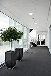 These stone-wool ceiling panels achieve a noise-reduction coefficient as high as 0.95, and their lightly textured white surfaces reflect daylight—both desirable qualities in patient recovery zon