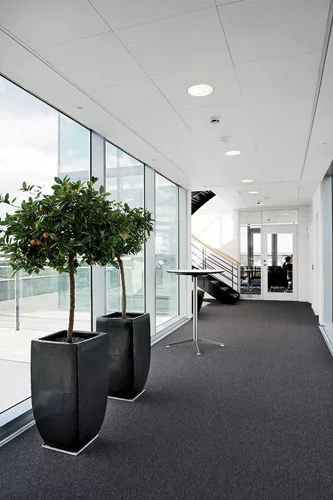 These stone-wool ceiling panels achieve a noise-reduction coefficient as high as 0.95, and their lightly textured white surfaces reflect daylight—both desirable qualities in patient recovery zon