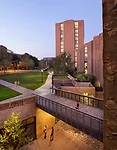 KTA carved out a below-grade court between the two colleges at the edge of the crescent courtyard to create an expansive lightwell for the subterranean spaces.
