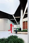 Moscow School of Management