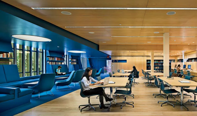 In the newly open reading room, two zones—a lounging zone rendered in blue and a studying zone characterized by wood paneling—are visually and spatially linked.