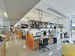 The electric lighting for the laboratories includes pendant luminaires placed between the lab benches for ambient light. Each work surface has its own LED task light equipped with an occupancy sensor 
