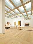 Saint Louis Art Museum