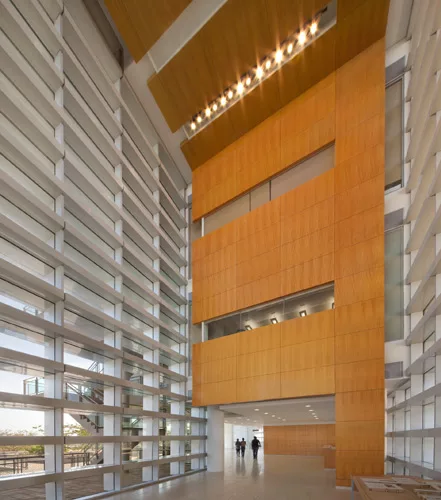 Universidade Agostinho Neto