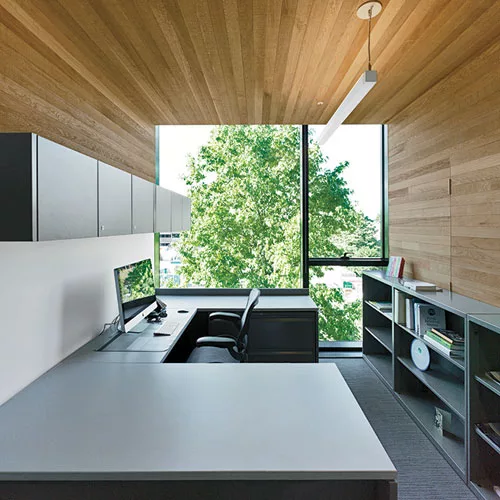 Cedar also lines the cubiform offices.