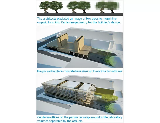 The architects pixelated an image of two trees to morph the organic form into Cartesian geometry for the building's design. 