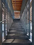 Viewed head on, the main stair's narrow steel risers look substantial, but in profile they almost disappear.