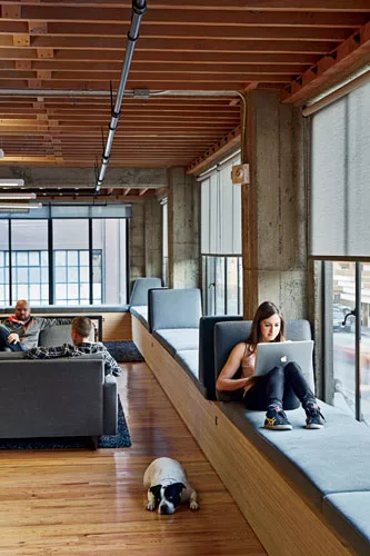 For the open-plan offices on the second floor, the architects built a generous window seat from plywood.