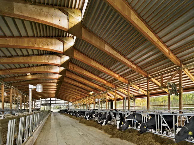 Teaching Dairy Barn
