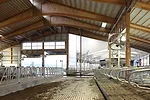 Teaching Dairy Barn