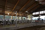 Teaching Dairy Barn