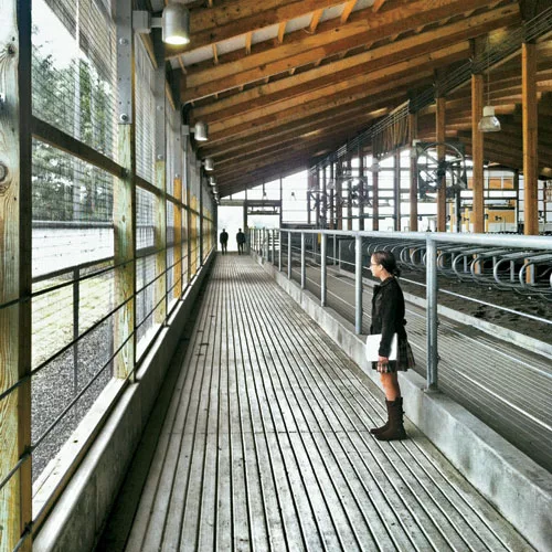 Teaching Dairy Barn
