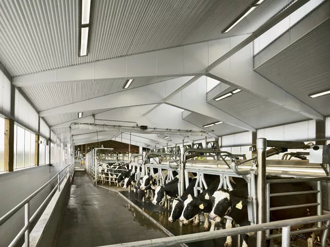 Teaching Dairy Barn